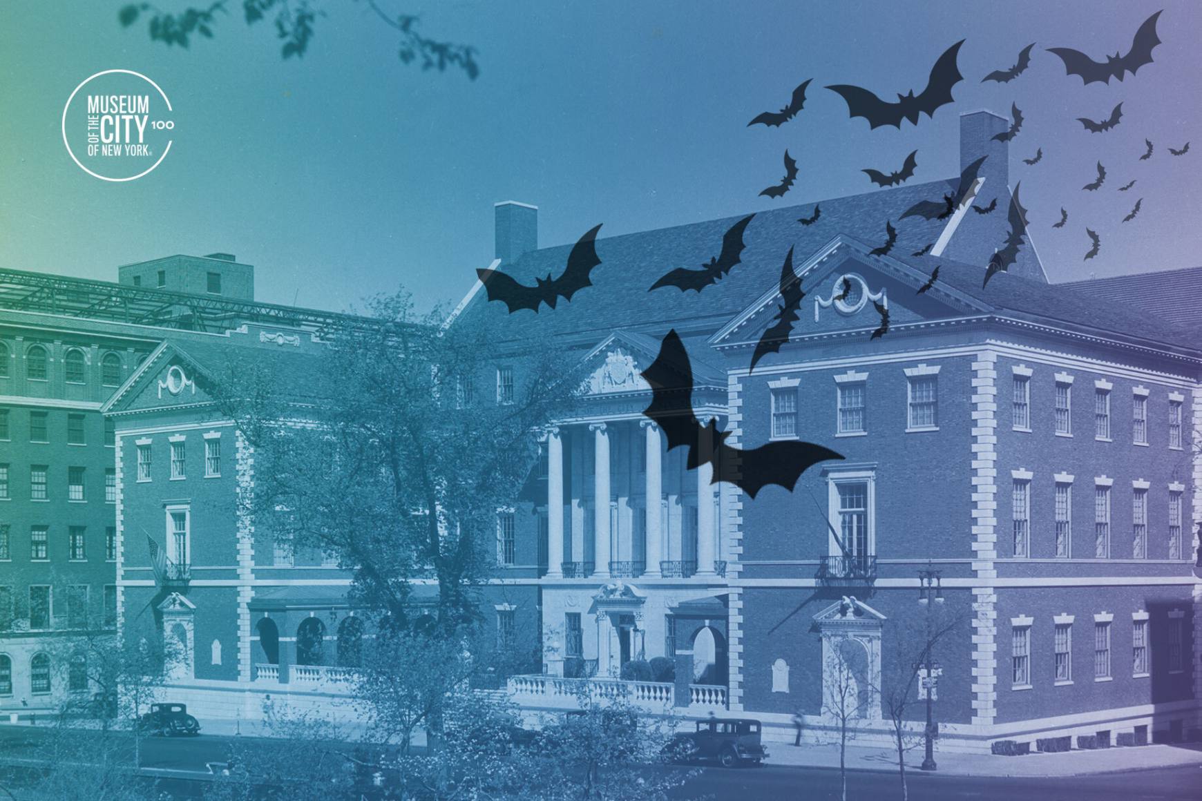 A black and white photo of the Museum with a green to blue gradient overlay with a white museum logo. A swarm of bats fly in from the top right. 